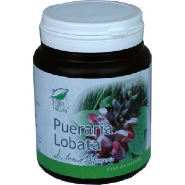 Pueraria lobata